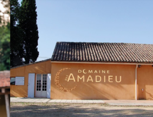 DOMAINE DES AMADIEU