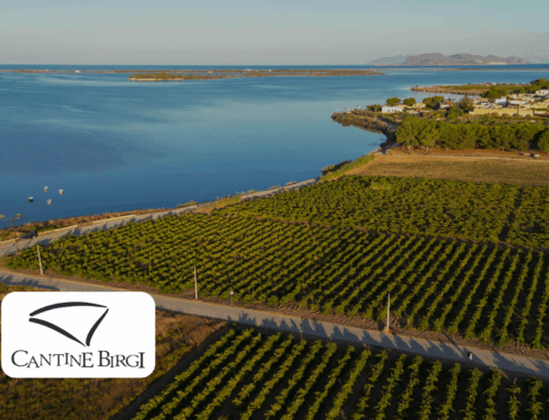 Domaine Birgi, Sicile, Italie